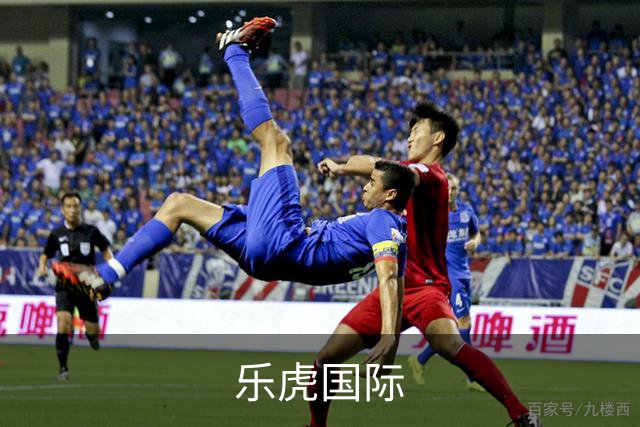 乐虎国际公司简介